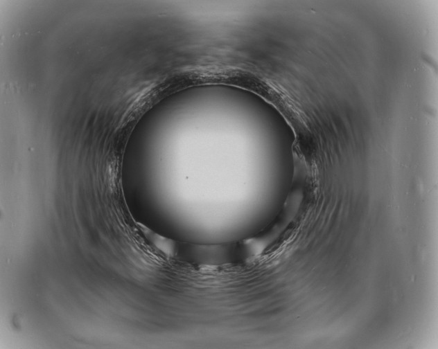 X0000096391300200802141445