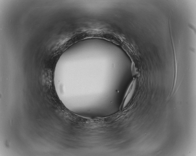 X0000096391301200802141445