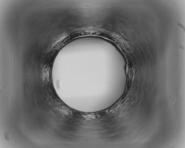 X0000096391302200802141445
