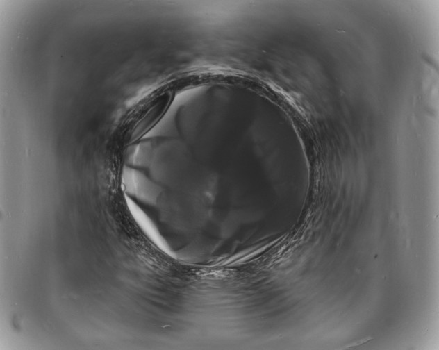 X0000096391303200802141445