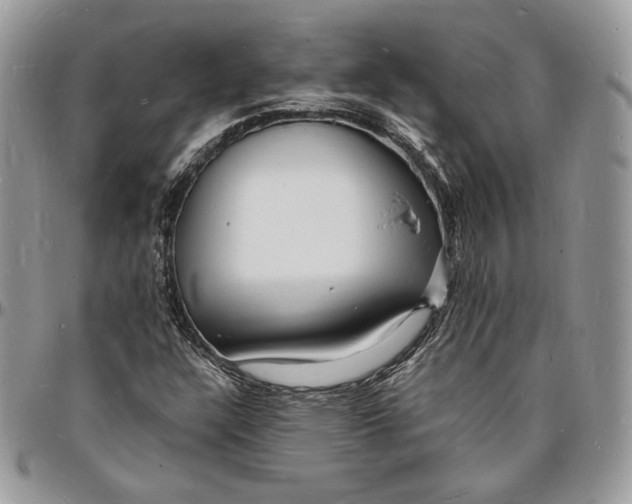 X0000096391304200802141445