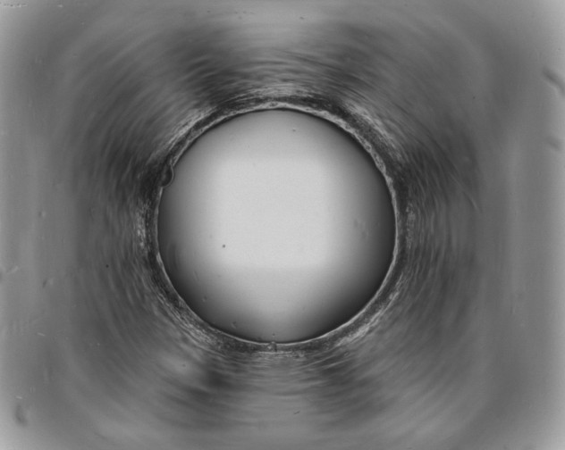 X0000096391305200802141445