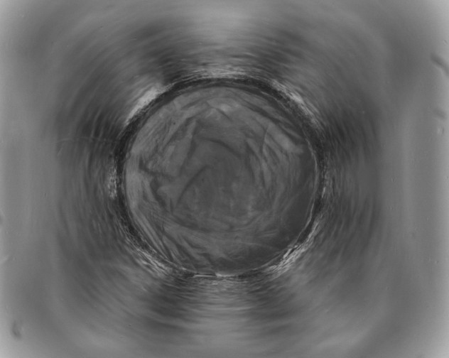 X0000096391306200802141445