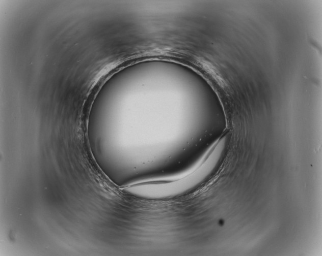 X0000096391308200802141445