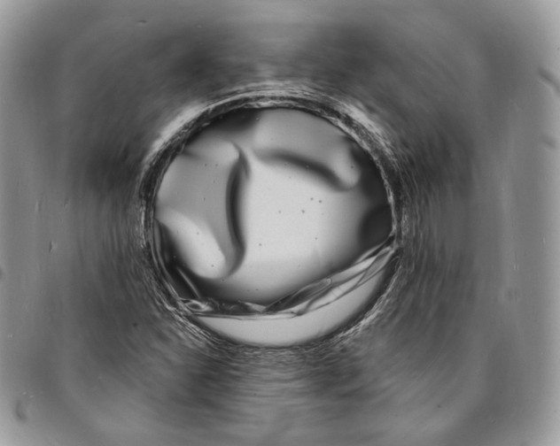 X0000096391310200802141445
