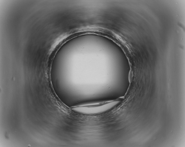 X0000096391312200802141445