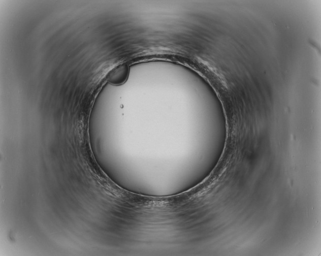 X0000096391313200802141445