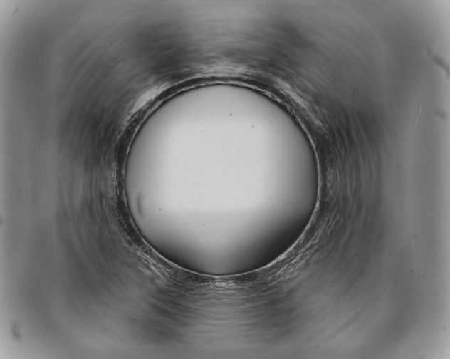 X0000096391315200802141445