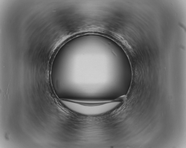 X0000096391316200802141445