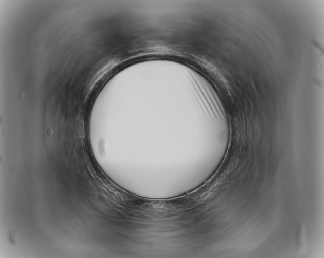 X0000096391318200802141446