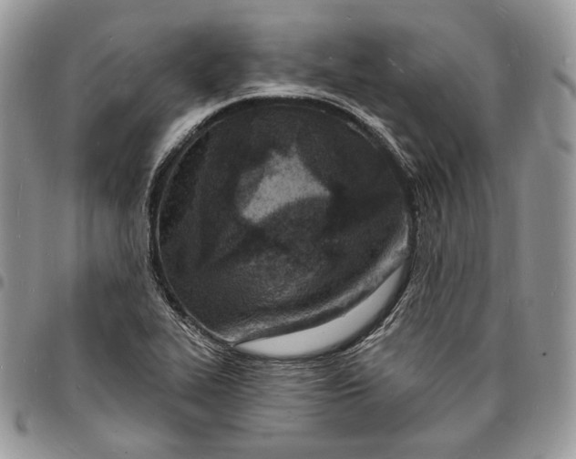 X0000096391319200802141446