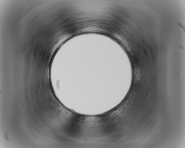 X0000096391322200802141446