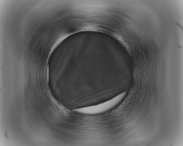 X0000096391323200802141446