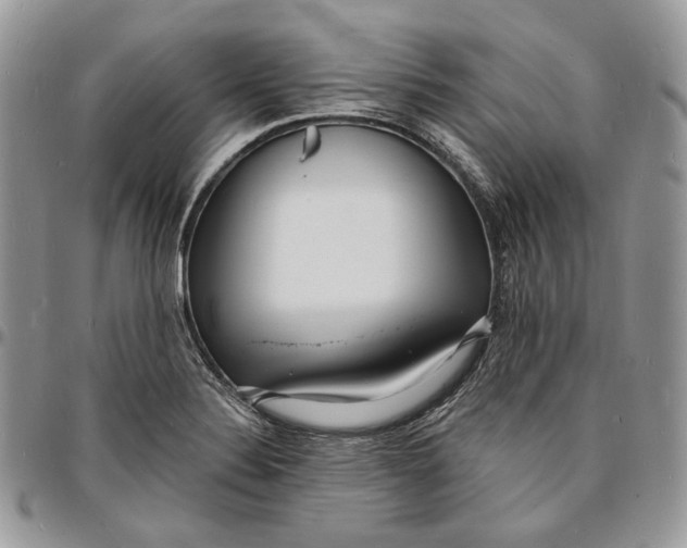 X0000096391324200802141446