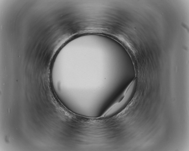 X0000096391325200802141446