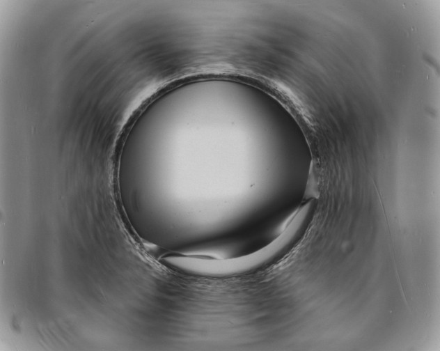 X0000096391326200802141446