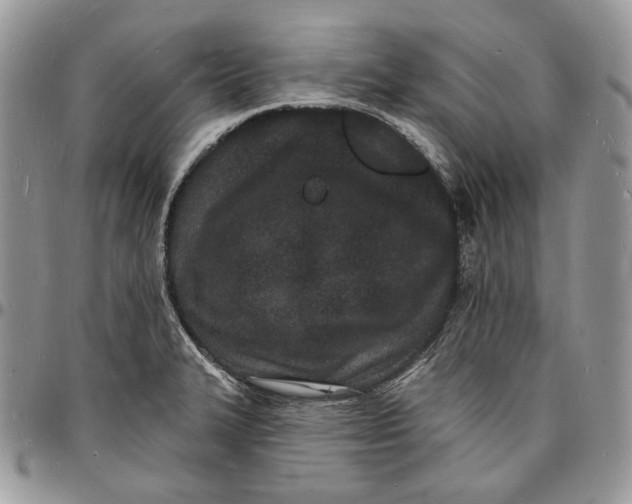 X0000096391327200802141446