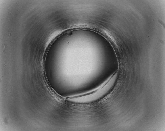 X0000096391328200802141446