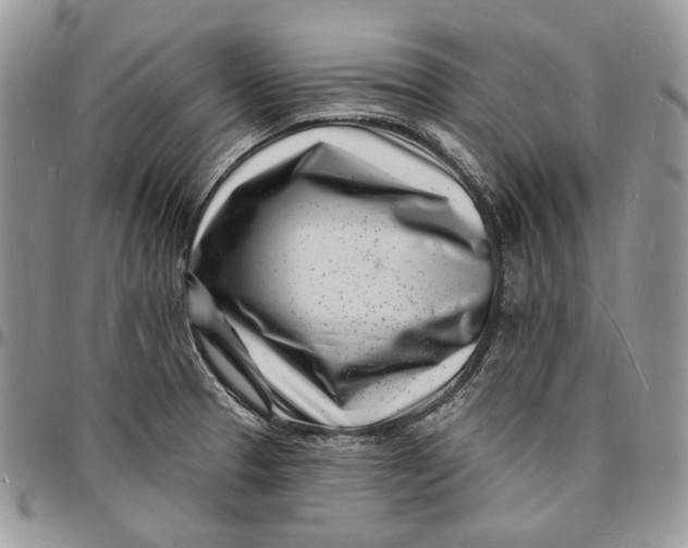 X0000096391329200802141446