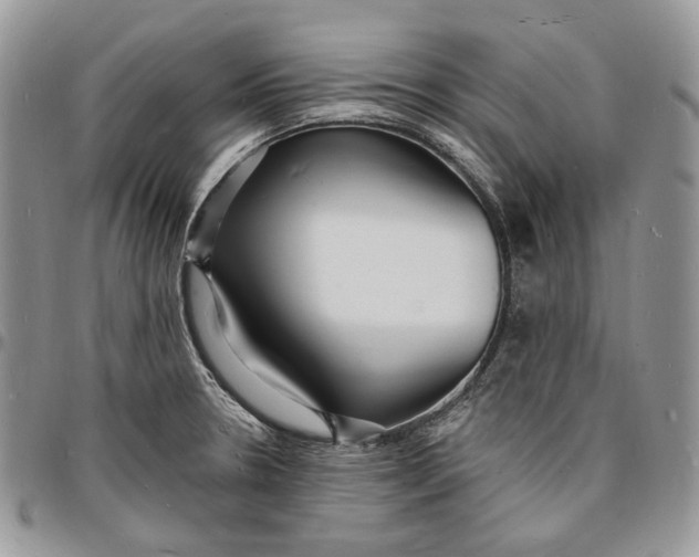 X0000096391330200802141446