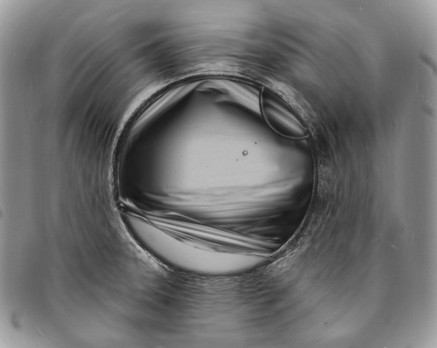 X0000096391331200802141446