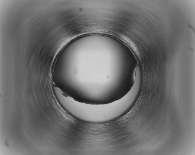 X0000096391332200802141446