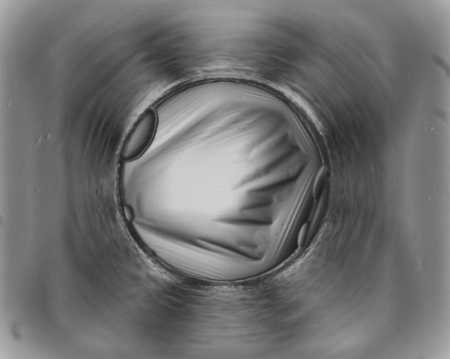 X0000096391333200802141446