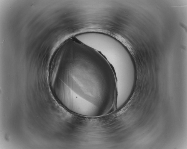 X0000096391334200802141446