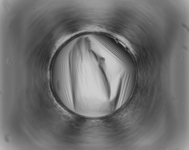 X0000096391335200802141446