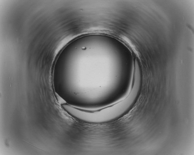X0000096391336200802141446