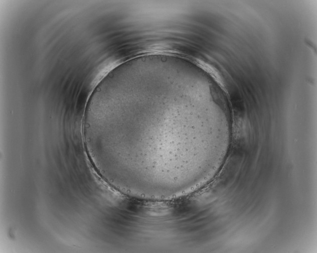 X0000096391338200802141446