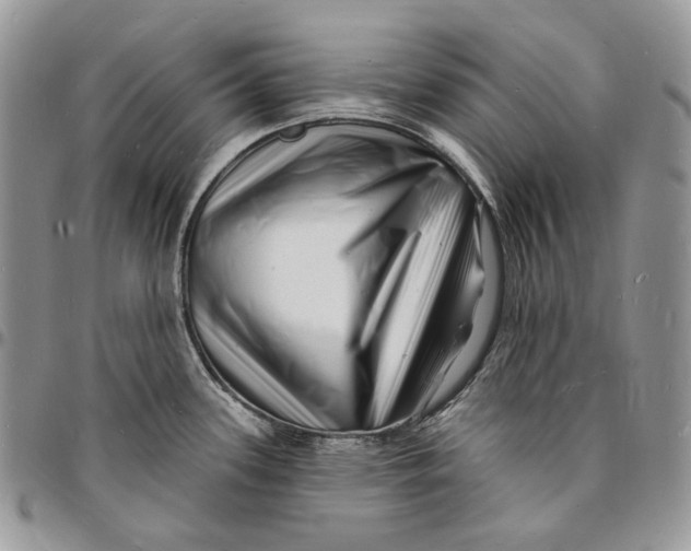 X0000096391339200802141446