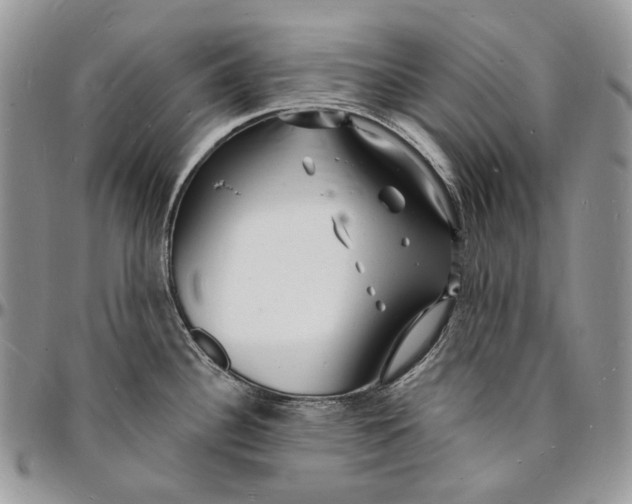 X0000096391340200802141446