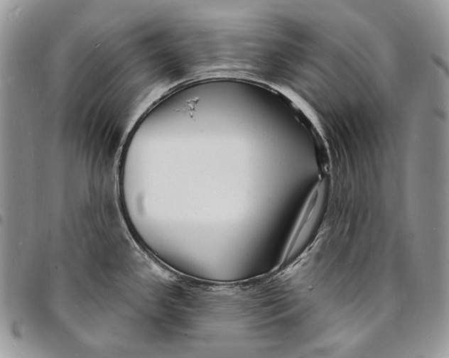X0000096391341200802141446