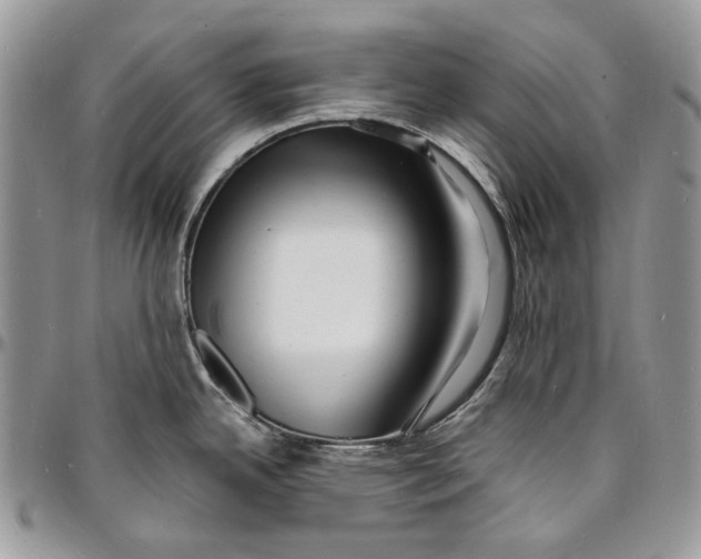 X0000096391342200802141446