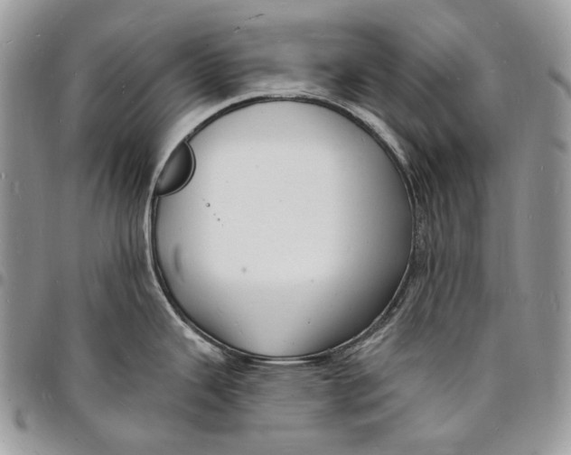 X0000096391343200802141446