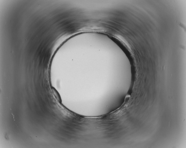 X0000096391344200802141446