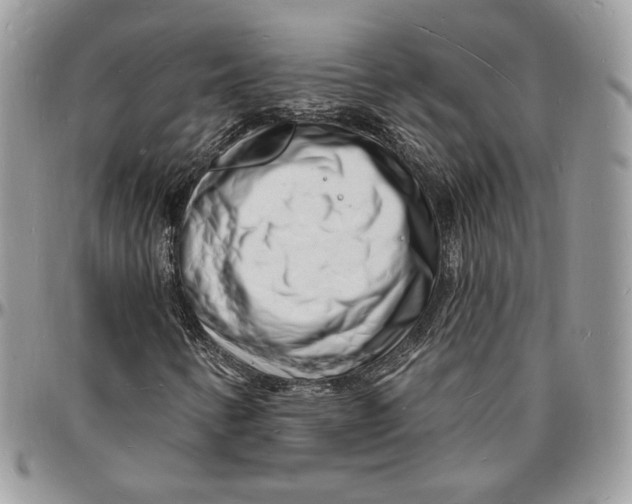 X0000096391346200802141445