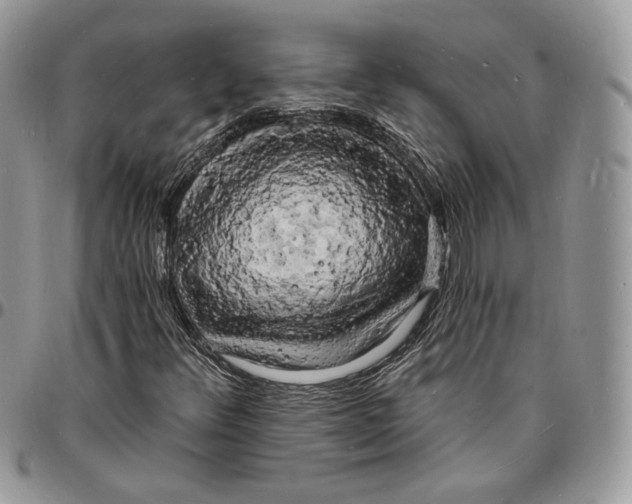 X0000096391348200802141445