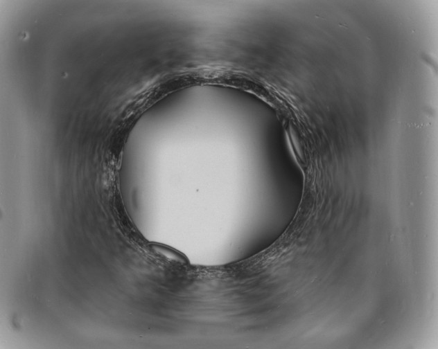 X0000096391349200802141445