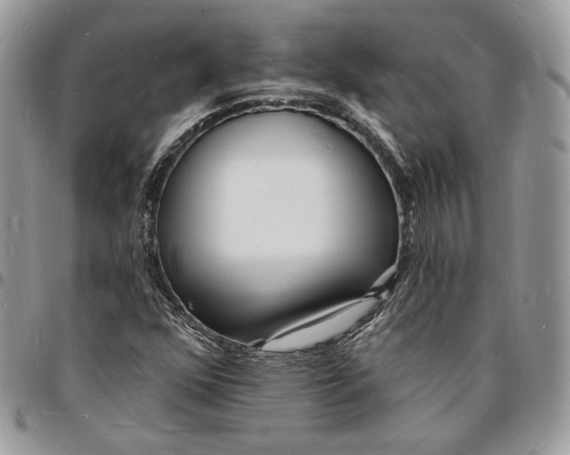 X0000096391352200802141445