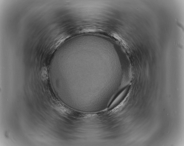 X0000096391353200802141445