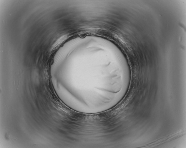 X0000096391354200802141445