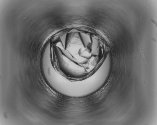 X0000096391356200802141445