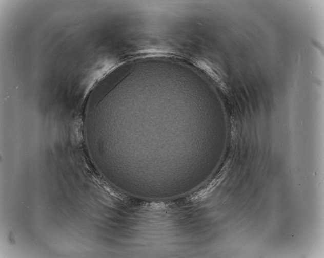X0000096391357200802141445