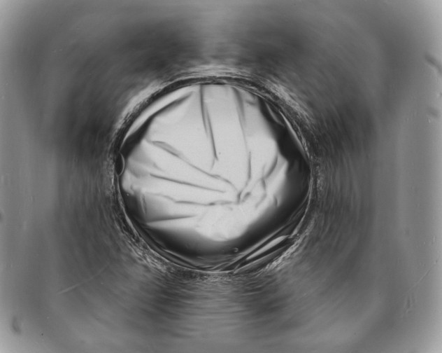 X0000096391358200802141445