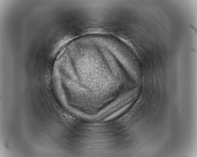 X0000096391359200802141445