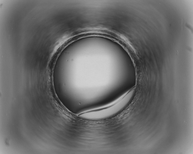 X0000096391360200802141445