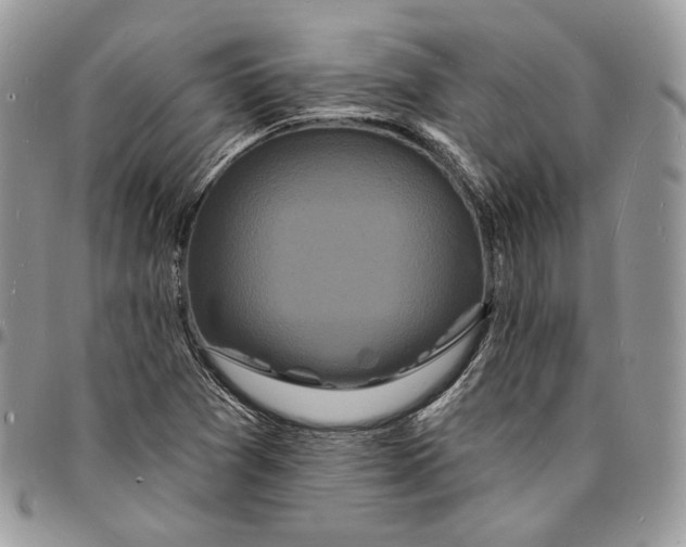 X0000096391361200802141445
