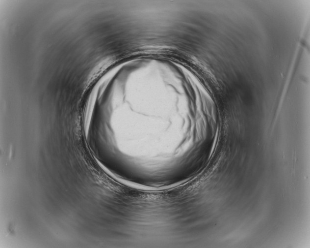 X0000096391362200802141445